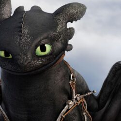 How to Train Your Dragon 2 Wallpapers HD Collection