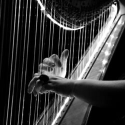 grayscale photo of harp free image