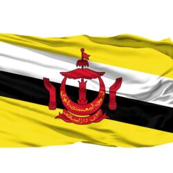 Free stock photo of Brunei 3D Flag