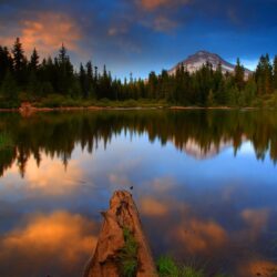 Photos USA Mt Hood National Oregon Nature Lake Forests