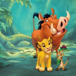 85 The Lion King HD Wallpapers