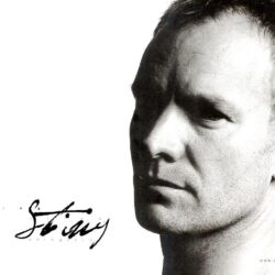 Sting image Sting HD wallpapers and backgrounds photos