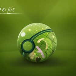 Conceptual Pokeball ~ Caterpie by Lun1c