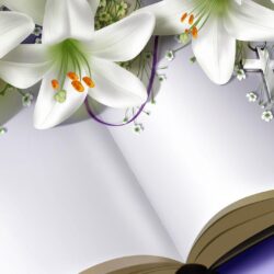 Easter Lilies on Bible widescreen wallpapers
