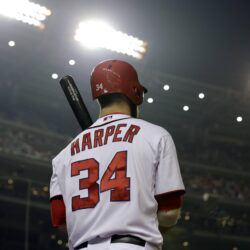 Bryce Harper Wallpapers