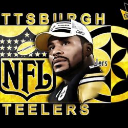 Pittsburgh Steelers Helmet in Logos