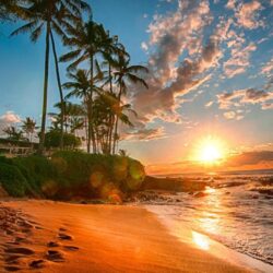 Hawaii Exotic Wallpapers Hd Sea Sand Beach Palms Green Sky With White
