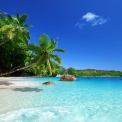 Wallpapers Tropical paradise, sunshine, beach, coast, sea, palm trees