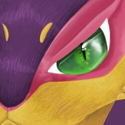 Eye of the Liepard by Pokemonpassage