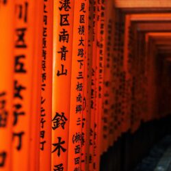 Japan Kyoto torii gates pathway Japanese architecture Fushimi Inari