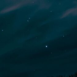 Night Sky Stars Trees
