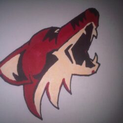How to Draw the Phoenix Coyotes logo