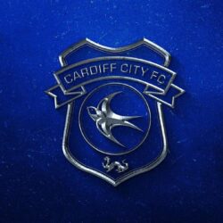 Cardiff City FC on Twitter: Another day, another 2015/16