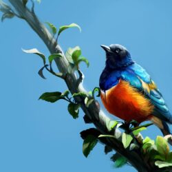 Wallpapers Birds Superb Starling Branches Animals Painting Art