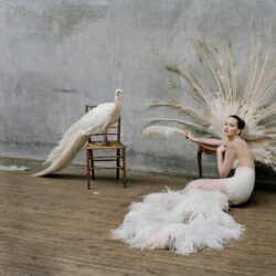 Tim Walker Photography