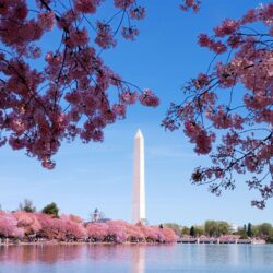 Wallpapers Of The Day: Washington DC Monuments