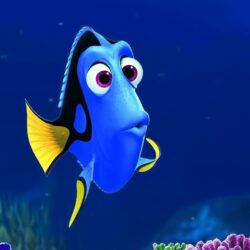 Finding Dory 2016 HD desktop wallpapers : High Definition