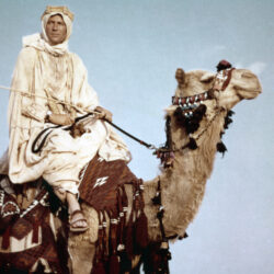 Lawrence Of Arabia Wallpapers High Quality