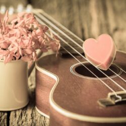 vintage love heart romantic heart ukulele flower HD wallpapers