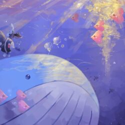 pokemon, wailord desktop wallpapers 40722