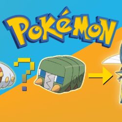 Pokémon: Grubbin and Evolution