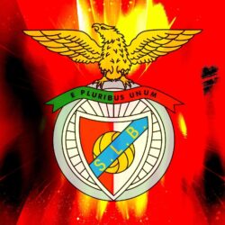 Benfica football club wallpapers