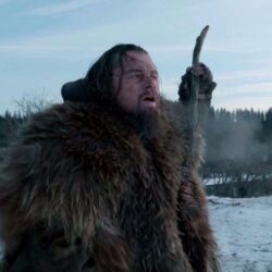 New 4K The Revenant Wallpapers