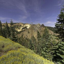 Photos California USA Lassen Volcanic National Park Nature Spruce