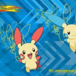 plusle and minun pokemon anime