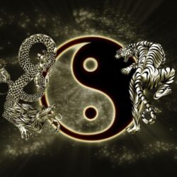 Amazing Yin Yang wallpapers with a dragon and a tiger, named ‘The