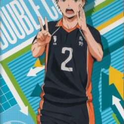 Official Art Haikyuu!! HQ!! Kuroo Tetsurou sawamura daichi azumane