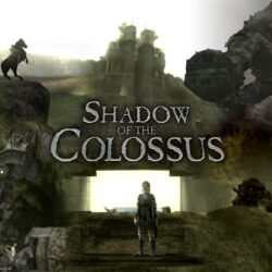 17 Best image about Shadow of the Colossus