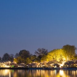 Washington DC Memorials at Night ❤ 4K HD Desktop Wallpapers for 4K