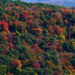 MLeWallpapers Appalachian Mountains In Fall Desktop Backgrounds