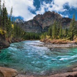 River: Mountain Creek Canada Forest River Banff National Park Water