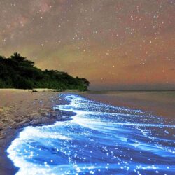 Sea Of Stars, Vaadhoo Island