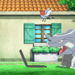 Rhyhorn and Fletchling watching on a laptop