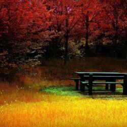 Wallpapers : Hd Wallpapers X Nature Fire Autumn ~ Hd