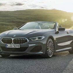 New BMW 8 Series drops top, adds neck warmers