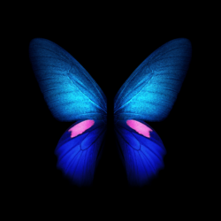 Download Samsung Galaxy Fold wallpapers in full resolution right here