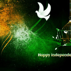 15 Aug] India Independence Day HD Image, Wallpapers, Pictures, Photos {Free Download}