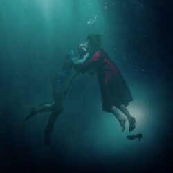 The Shape of Water, from Guillermo del Toro, is a beautiful adult