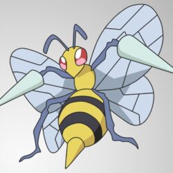 015 Beedrill