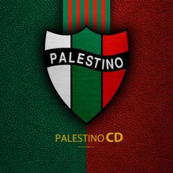 Download wallpapers Club Deportivo Palestino, 4k, logo, leather