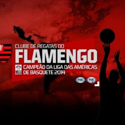 Baixe o wallpapers do Flamengo campeão da Liga das Américas