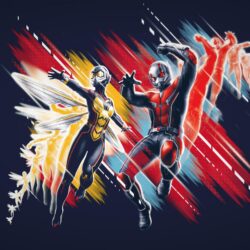 Ant Man And The Wasp 4k, HD Movies, 4k Wallpapers, Image