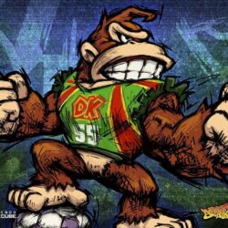 Super Mario Strikers: DK
