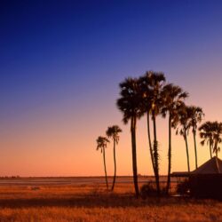 Eco Botswana Getaways