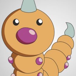 013 Weedle by scope66