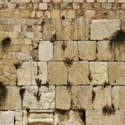 Wailing Wall Wallpapers by Ronald090